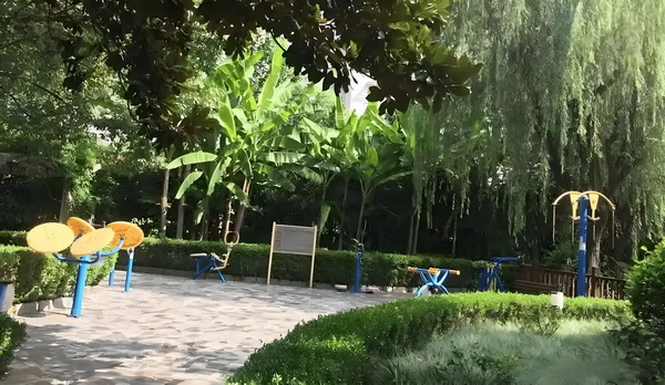 深圳应届生落户2025_没能延续去年好势头，法国票房上半年下滑10% 步行可抵约1钟即达5分