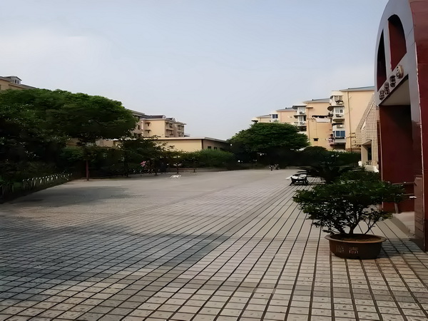深圳的人才引进政策_《凡人修仙传》开播，展现平凡少年成长之旅 凡人修仙传8日分许6时